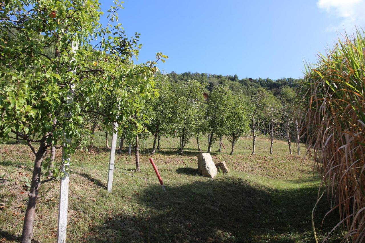 Ausserperskolerhof - Adults Only Фие Экстерьер фото